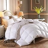 RENXR Bettdecke für King-Size-Bett, 100 % weiße Gänsefedern, Daunendecke aus Llanti-Milben- und federfester Stoff, antiallergen, atmungsaktiv und hautfreundlich, weiß, 220 x 240 cm, 5,0 kg