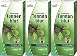 Hübner Tannenblut Bronchial Sirup 3 x 500ml