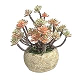 Alipis 1Stk Topfpflanze Grün Faux Mini-Pflanzen Zimmerpflanzen kunstpflanze Dekor künstliche Pflanzen gefälschter Rosenbonsai Simulation Pflanzenornament Schreibtisch Ornamente Blumentopf