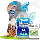 FreeClean® Bio Geruchsneutralisierer Spray 500ml [EXTRA STARK OHNE Chemie] - Enzymreiniger Katzenurin - Hochkonzentrierter Geruchsentferner als Textilerfrischer Spray - Made in DE