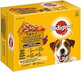 Pedigree Adult Hundenassfutter Geflügel-Selektion, 48 Pouches, 12x100g (4erPack) - Hundefutter nass, 4 Varietäten in Sauce mit Huhn, Truthahn, Geflügel und Ente