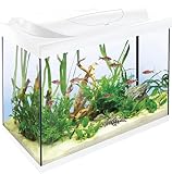 Tetra Starter Line 80 L Aquarium Weiß, Komplett-Set - inkl. Tag- & Nachtlicht LED-Beleuchtung, Innenfilter, Heizer, Fischfutter und Wasseraufbereiter
