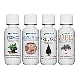 Saunaaufguss-Set: Fichtennadel, Eukalyptus, Minze | Aromata Latinum by Via Nordica | Serenitas, Aurea Eukalyptus, Arboris Aether & Frisco Menthol (4x100ml)