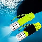 Kriogor Tauchlampe, 2 Stk 1100LM LED Wasserdicht...
