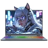 Amita 16' Touchscreen Laptop | i3-8109U(up to 3.6GHz), 16GB RAM, 1TB SSD, RGB Hintergrundbeleuchtete Tastatur, Gesicht- & Fingerabdruck-Login, 180° Scharnier, Win 11 Pro (1TB SSD)