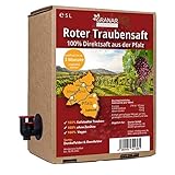 Trauben Direktsaft weiß aus der Pfalz, 100% weißer Traubensaft, vegan und ohne Zusätze - 1 x 5 Liter Box