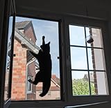 Fliegengitter Fenster katzensicher nach Maß Insektenschutz DIY Fliegengitter Fenster mit Rahmen als Bausatz individuell auf das Wunschmaß zugeschnitten günstig und effizient