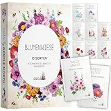 Blumen Samen Set - 10 bunte Blumensamen Sorten für den Garten oder Balkon, die Bienenweide und Wildblumenwiese - Blumenwiese Samen - bunte Wildblumensamen Mischung