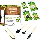 Flaschengarten Komplettset zum Schaffen EIN Ökosystem im Glas - Terrarium Starter Kit zum Anlegen EIN Biotop im Glas - Kit Terrarium mit Garten Werkzeug, Moos, Erde, Steinen(Kit ohne Flasche, M)