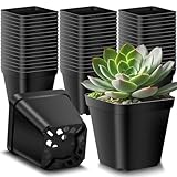 50 Stück Plastik Anzuchttöpfe Ø7cm, Pflanzentöpfe Aus Kunststoff Eckig, Pflanztöpfe Anzucht mit Mehrere Ablauflöchern für Sämlinge für Obst, Gemüse, Sukkulenten, Setzlinge, Stecklinge, Umpflanzen