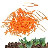 Generisch Pflanzgabel für Setzlinge – Pflanzenkletterstützklammern | 50 Stück Grabgabel | Wiederverwendbarer 65-mm-Kriechhalter, Kletterhilfe für Gartenpflanzen für die Gartenarbeit, Kunststoff Grün