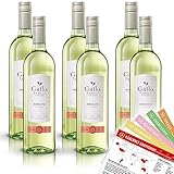 Gallo Moscato, lieblich, sortenreines Weinpaket + VINOX Winecards (6x0,75l)