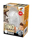 BUKI D6G - Magisches Dino Ei (zufälliges Modell), Weiß,schwarz