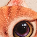 Geldbörse Portmonee Drucken niedliche Frauen plüscher 3D Katzenbeutel (Yellow, One Size)