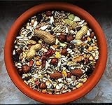 cura-canin 10 kg natürliches Eichhörnchen Futter in Premium Qualität Eichhörnchenfutter der Spitzenklasse Streufutter Futterhaus