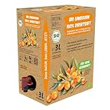 Bio Sanddorn Direktsaft 3 Liter Box aus deutschem Anbau - Sanddornsaft aus 100% Sanddornbeeren - Veganer Sanddorn Saft als natürliche Vitamin C Quelle, ohne Zuckerzusatz, ohne Süßstoffe (lt. Gesetz)