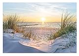 WallArena Fototapete Strand Meer 3D Nordsee Dünen Sonne Panorama Natur Modern Wohnzimmer Schlafzimmer Wandtapete Vlies Tapete UV-Beständig Montagefertig (14020, V8 (368x254 cm) 4 Bahnen)