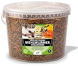 UGF - Premium Mehlwürmer getrocknet 3 Liter Eimer, Vogelfutter Wildvögel Ganzjährig, Igelfutter, Hühnerfutter, Eichhörnchen Futter, Hamster Futter