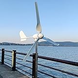 1000W Windkraftanlage 12V 24V 48V Windturbine Generator mit Hybrid Controller für den Heimgebrauch hohe Effizienz (24V mit Controller)