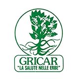 Erwachsene gegen Grippe SYRUP 150 ML GRI