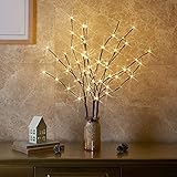 Eambrite 3er Set Lichterbaum Aussen Innen 60LEDs wasserdichte Lichterzweige 76CM Warmweißes Zweiglicht Braun mit Netzstrom Betriebene LED Lampe Zweige Dekoration für Weihnachten Ostern Deko Halloween
