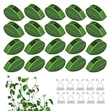 Yoosso 60 Stück Pflanzenclips für Kletterpflanzen, Pflanzen Clips Wand 50 Grüne Pflanzenklammern Befestigung und 10 Weiß Pflanzenhalter ​zum Gardening Plant Reben Gemüse