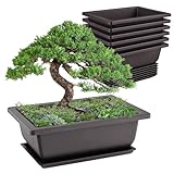 Idota 6 Stück Bonsai Schale, 16.5x12x6cm Bonsai Topf Wiederverwendbar Bonsaischale mit Tabletts, Kunststoff Bonsai Töpfe Pot Blumenpot für Gärten Wohnzimmer Balkone
