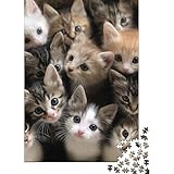 Puzzle Katze 1000 Teile Puzzle Holzpuzzle ab 18 Jahren Geschenke für Freunde und Familie 1000 Teile (75x50cm)