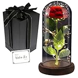 FAYODO Die Schöne und das Biest Ewige Rose, Rote Galaxie Rose Geschenk für Mama, Rose in Einer Glaskuppel mit LED Licht Holzsockel für Freundin Frau am Muttertag Geburtstag Valentinstag Jahrestag