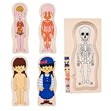 Puzzle des menschlichen Körpers - Blaue pädagogische Anatomie für Kinder, lustiges Lernwerkzeug | Interaktives menschliches Körpermodell, Körperteil-Puzzles für Kinder, Lernspielzeug