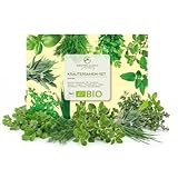 BIO Kräutersamen Set - Küchenkräuter Anzuchtset aus biologischem Anbau ideal für den heimischen Kräutergarten, Balkon & Garten