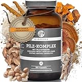 QIDOSHA® Pilz-Komplex Kapseln, 180 Stk im Apothekerglas, hochreine Dual-Extrakte aus den 7 Vitalpilzen Cordyceps, Reishi, Hericium, Chaga, Maitake, Shiitake, Agaricus blazei (Mandelpilz), vegan