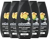 Schauma Anti-Schuppen Shampoo Intensiv (5x 400 ml), Haarshampoo beruhigt die Kopfhaut, Shampoo bekämpft starke Schuppen ab der ersten Anwendung