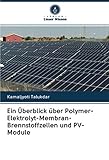 Ein Überblick über Polymer-Elektrolyt-Membran-Brennstoffzellen und PV-Module