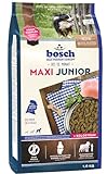 bosch HPC Maxi Junior | Hundetrockenfutter zur Aufzucht großer Rassen (ab 25 kg) | 1 x 15 kg