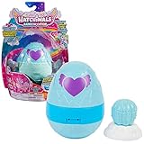 Hatchimals Rainbowcation Playdate Pack, Spiel-Schatulle mit 4 CollEGGtibles-Figuren und 2 Zubehörteilen, Spielzeug für Mädchen ab 5 Jahren