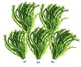 5 Bund Wasserpest, Teich Pflanze, Wasserpflanze, Elodea Densa, Aquarium Pflanze, mini Teich Daxton-Plant