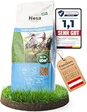 Hesa Gebrauchsrasen 1 kg für 40 m², RSM 2.3, schnellkeimende Premium Rasensamen Sport- und Spielrasen, Grassamen strapazierfähig und robust in Profiqualität