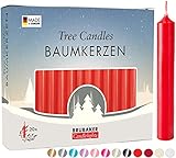 BRUBAKER 20er Pack Baumkerzen Wachs - Weihnachtskerzen...