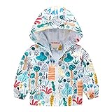 Regenjacke Kinder Dünne Cartoon Dinosaurier Regenbogen Tarnung Übergangsjacke Winterjacke Jungen Wanderjacke Softshelljacke Kinder Jungen Mädchen Regenmantel Winddichte Windbreaker Jacke Jacken Junge