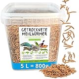 Mehlwürmer getrocknet, 800g (entspricht 5 L) getrocknete Mehlwürmer im praktischen Eimer, proteinreicher Snack für Wildvögel, Fische, Reptilien und Nager