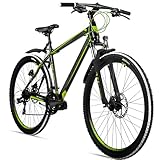 Bergsteiger Canberra 26, 29 Zoll Mountainbike, Aluminium Rahmen, Scheibenbremsen, Hardtail MTB mit Licht & Schutzblech, 21 Gang-Schaltung, Gabel-Federung, geeignet ab 160 cm