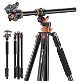 K&F Concept Neues Dreibein Stativ für Kamera, 230cm Professionelles Kamera Stativ mit Neuer Mittelsäule-Konstruktion, abziehbares Einbeinstativ, Tripod für Außen- und Innenaufnahmen T254A7+BH-28L