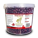Supravit Hagebutten Pferd | Mit viel Vitamin C für Pferde und Ponys | 2kg Eimer I Ganze getrocknete Früchte - natürliche Pferdeleckerlis ohne Zucker | Erstklassige Qualität