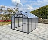 Gegaden Aluminium Gewächshaus für den Garten | Mit 8 cm dickeres Fundament | 308*248*210 | Vielseitig nutzbar als Treibhaus, Gartenhaus,Aufzucht Tomatenhaus,Frühbeet und Pflanzenhaus, Grau