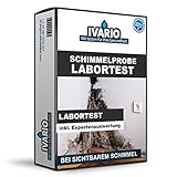 Schimmel-Test für Oberflächen in der Wohnung, Fenster & Wände, detaillierte Schimmelpilz- Analyse für die häufigsten Schimmelarten aus dem akkreditierten Fachlabor