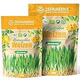 ZenGreens® - Bio Weizen Sprossen Samen in - Wähle zwischen 200g und 500g - Weizengras Samen mit Keimrate von über 96% - Getreide Saatgut - Weizensamen ideal für Microgreens - Keimsprossen Samen