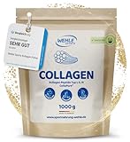 Collagen Pulver 1 KG - Bioaktives Kollagen Hydrolysat Peptide, Eiweiß-Pulver Geschmacksneutral, Wehle Sports Made in Germany Kollagen Typ 1, 2 & 3 Lift Drink 1000g