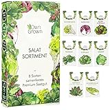 Salat Samen: 8 Sorten Salat Saatgut Set für Garten und Balkon – Kopfsalat Samen, Blattsenf, Feldsalat Samen winterhart, Radicchio, Endiviensalat Samen, Zichorie – Salat Gemüse Samen von OwnGrown