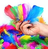 SUNRIZ Bunte Federn, 300 Stück Bunte Natürliche Feder Naturfedern für DIY Handwerk, Art Design, Basteln Karneval Rosen Montag Halloween Fest Versch